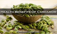 yoga health plan