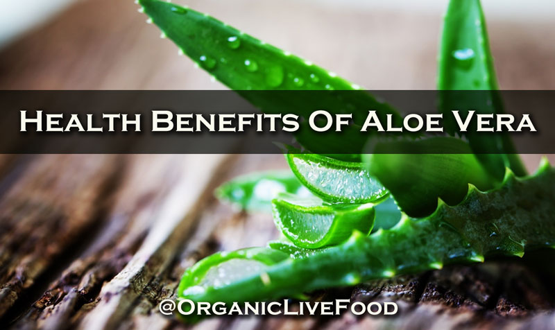 benefits-of-aloe-vera
